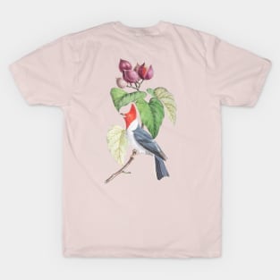 Red Crested Bird Wildlife Illustration T-Shirt